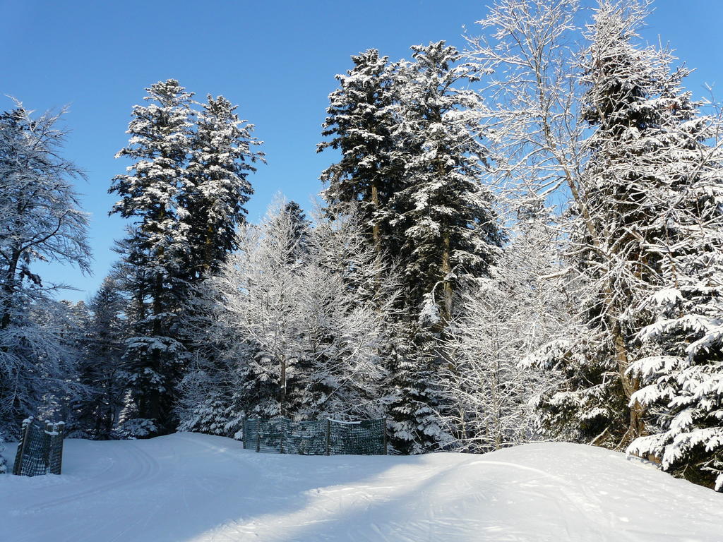 ג'רארדמר Chalet Les Sapins Argentes חדר תמונה