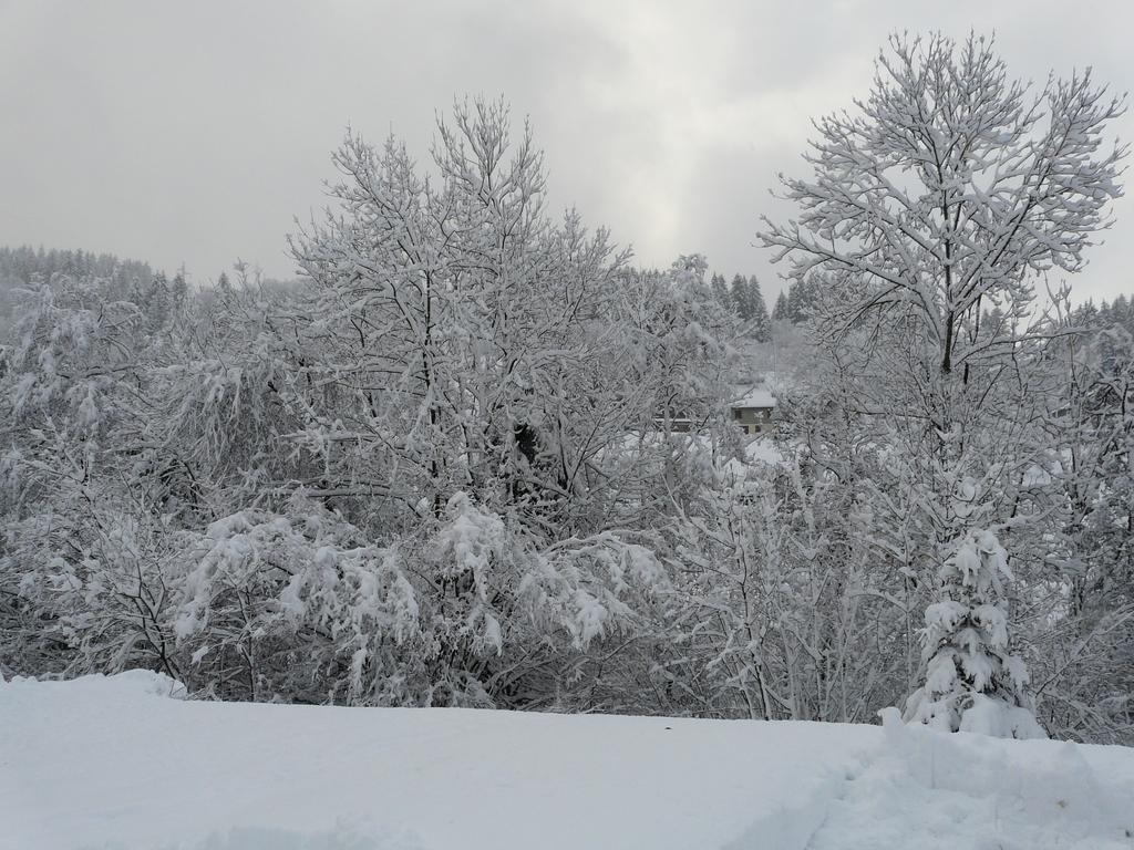ג'רארדמר Chalet Les Sapins Argentes מראה חיצוני תמונה