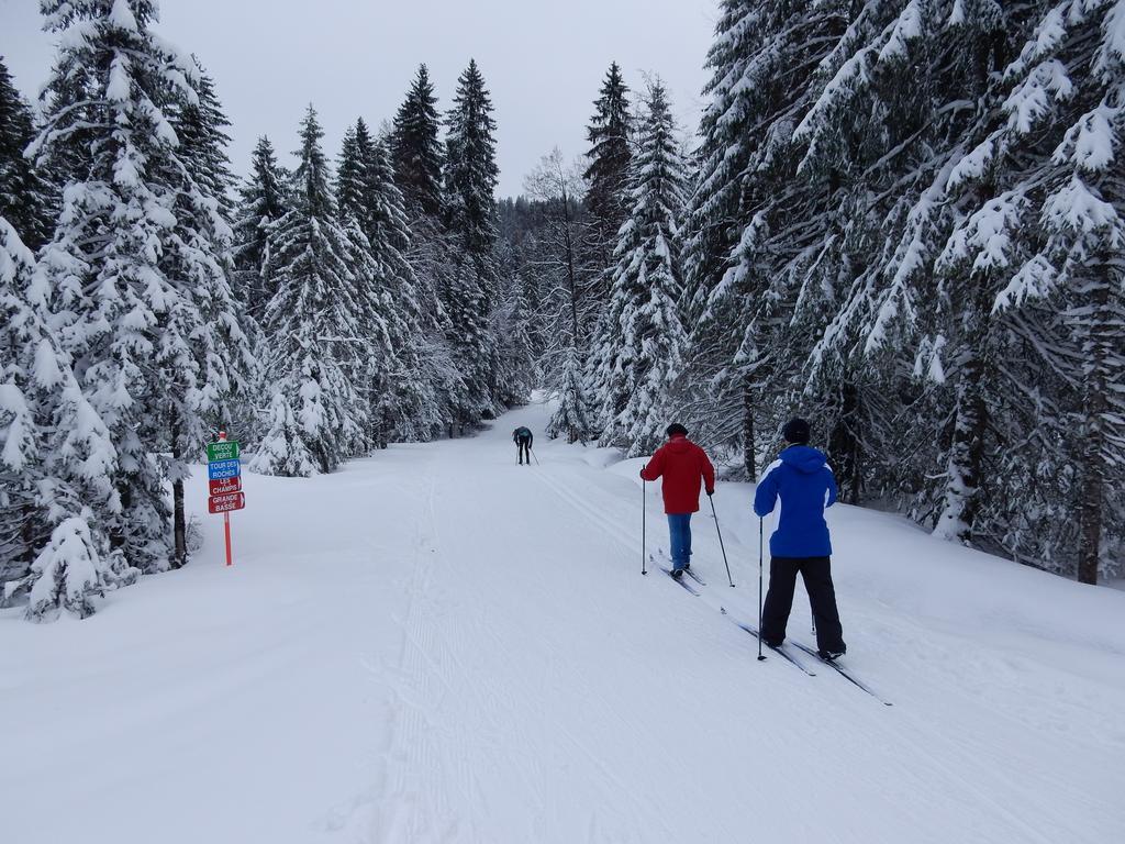 ג'רארדמר Chalet Les Sapins Argentes מראה חיצוני תמונה