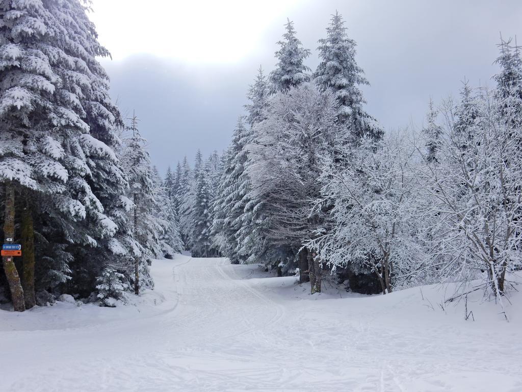 ג'רארדמר Chalet Les Sapins Argentes מראה חיצוני תמונה