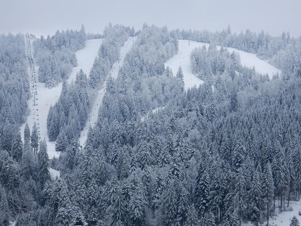 ג'רארדמר Chalet Les Sapins Argentes מראה חיצוני תמונה