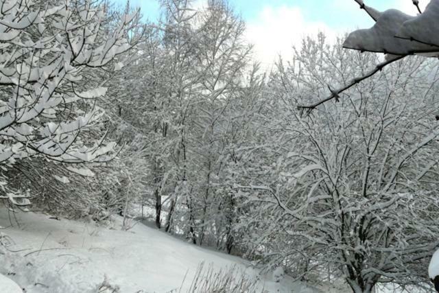 ג'רארדמר Chalet Les Sapins Argentes חדר תמונה