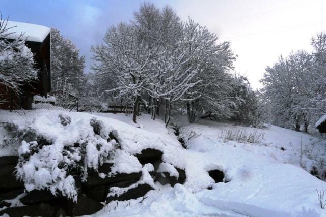 ג'רארדמר Chalet Les Sapins Argentes מראה חיצוני תמונה