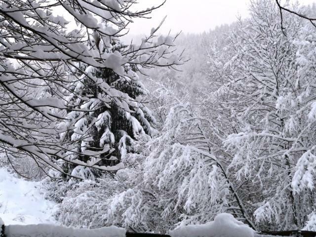 ג'רארדמר Chalet Les Sapins Argentes חדר תמונה